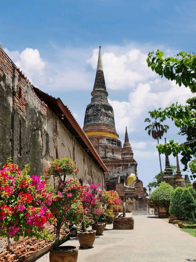 🙏 วัดใหญ่ชัยมงคล ไหว้พระอยุธยา 