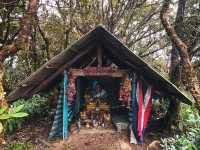 เขาหลวงนคร ยอด1,800 เมตร จ. นครศรีธรรมราช