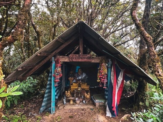 เขาหลวงนคร ยอด1,800 เมตร จ. นครศรีธรรมราช