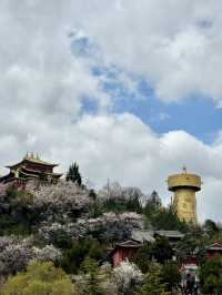 云南 ☁️ Yunnan Sights 🌼
