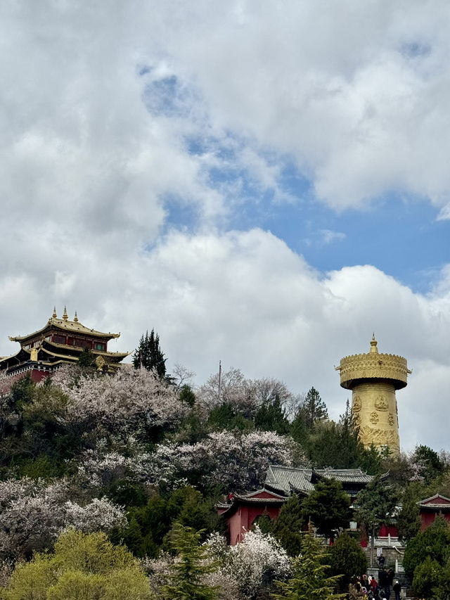 云南 ☁️ Yunnan Sights 🌼