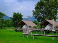 🌾 นอนฟิน กินหมูกระทะ กลางทุ่งนาเขียว 🍃