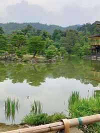 京都慢旅｜穿越千年風韻的片刻🍃⛩️