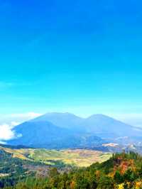🌋Hiking into the Underworld – Mount Ijen’s Blue Fire & Sulfur Soul