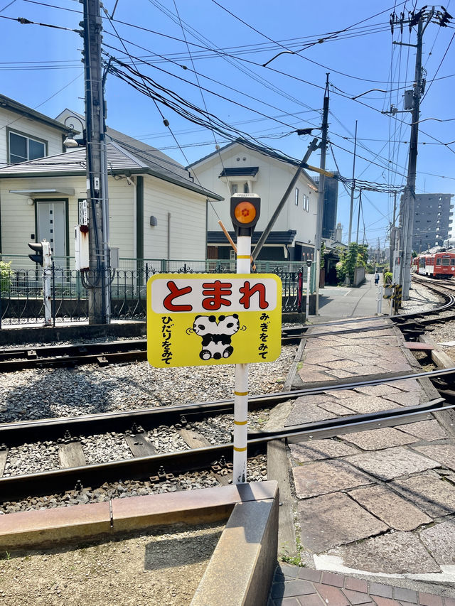 도고온천역 🚟 완벽 가이드!