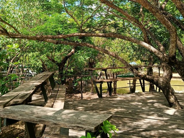 บ้านไร่รัตนคาเฟ่ ban rai rattana cafe 