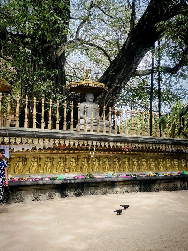 Kelaniya raja maha viharaya