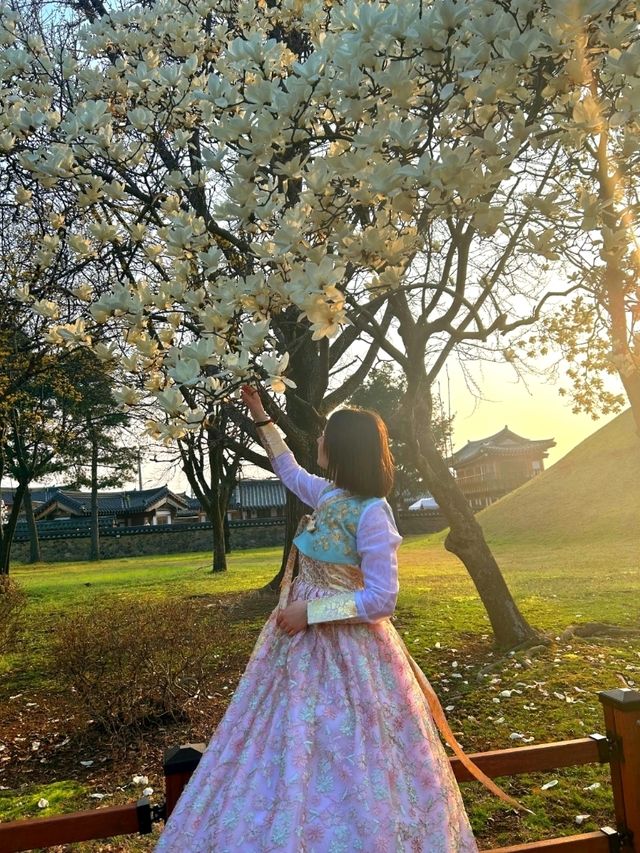 Gyeongju city 1-Day visit Itinerary 