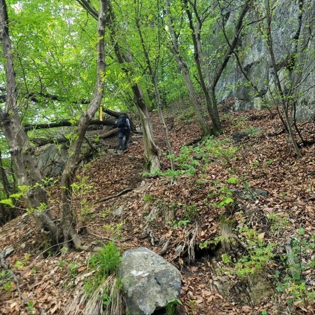 Chill Trails & Cloudy Views at Seodaesan Peak