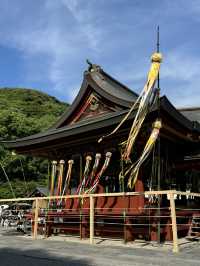 🌸⛩️ 3D2N Mt. Fuji, Hakone & Kamakura Scenic Escape! 🗻🚞✨