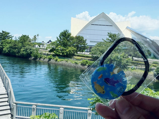実は九州イチの大きさ！いおワールド鹿児島水族館