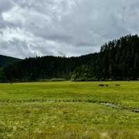 Find tranquility trekking through nature’s beauty