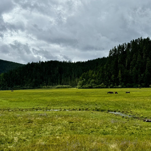 Find tranquility trekking through nature’s beauty