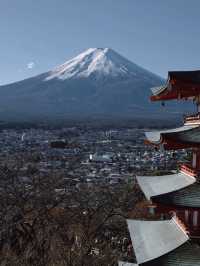 Chureito Pagoda x Mt. Fuji