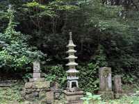 【静寂に包まれる祈りの空間🙏】鎮国寺で心を整える癒し旅