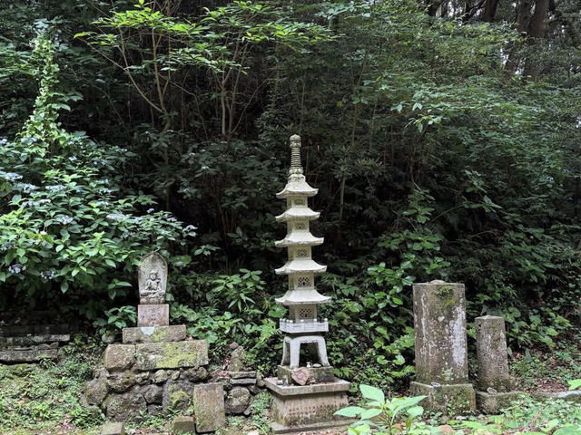【静寂に包まれる祈りの空間🙏】鎮国寺で心を整える癒し旅