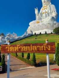 วัดห้วยปลากั้ง งดงามเหนือจินตนาการ เมืองเชียงราย