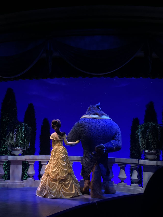 【東京🇯🇵】ディズニーランドで夢の時間を✨⭐️
