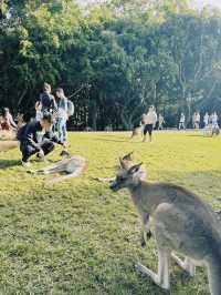 Australia Zoo 🦘🇦🇺🐨