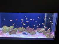 上越市立水族博物館（色調非常漂亮）