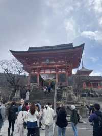【京都を見て、歩いて、食べて】