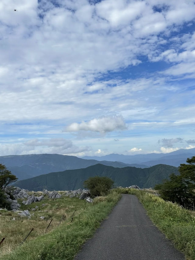 【四国カルスト】天空の草原でのんびり絶景ドライブ🚗💨🌄