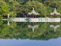 高雄人的後花園：澄清湖慢步日常