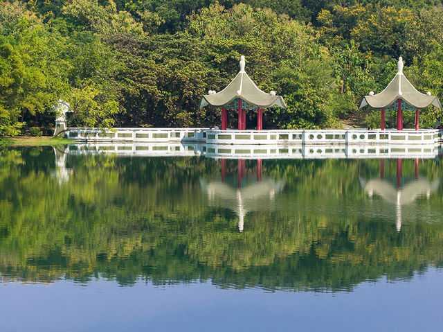高雄人的後花園：澄清湖慢步日常