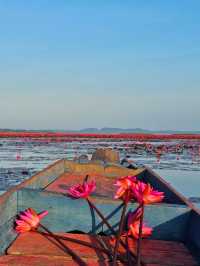 ล่องเรือทะเลน้อย