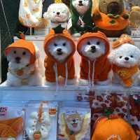 Escape the Heat: Market Magic in Seogwipo