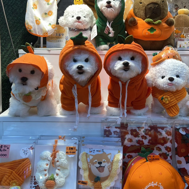 Escape the Heat: Market Magic in Seogwipo