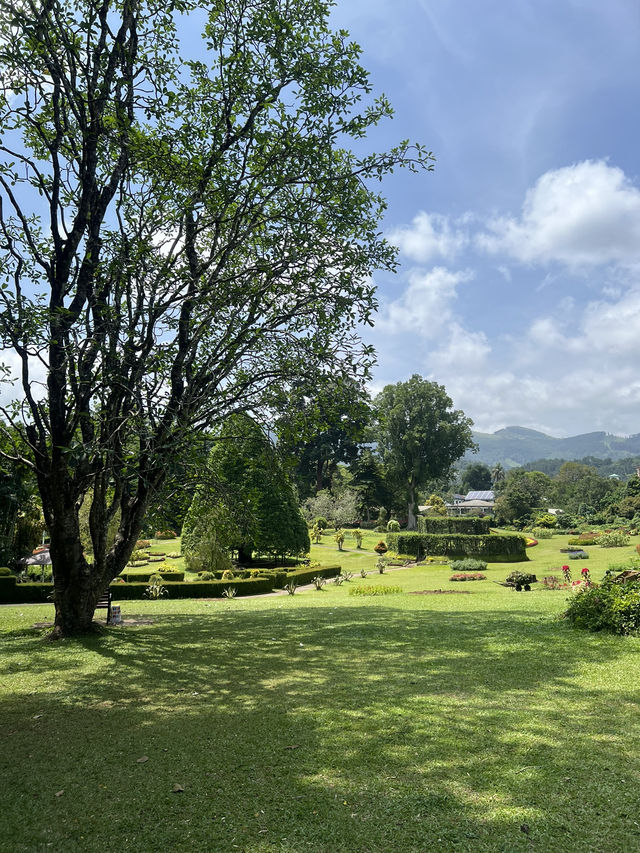 🌿斯里蘭卡皇家植物園｜歷史百年＋絕美拍照點＋門票交通一次搞定！