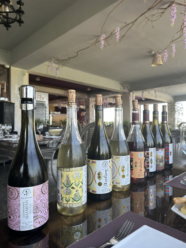 Discover the Winery in Tashkent, Uzbekistan 🍷🇺🇿 