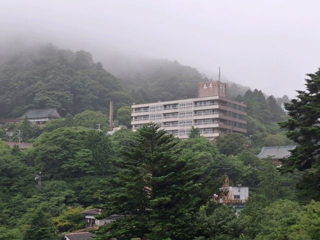 三重親子景點推薦｜御在所岳纜車：15分鐘帶孩子飛越四季，絕美又療癒！