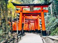 @ FUSHIMI INARI TAISHA IN KYOTO.