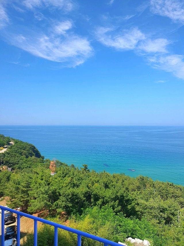 미술관에서 바다구경도 하고~ 전시관람도 하고~🌊
