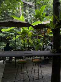 คาเฟ่แม่กำปอง เทดดู้คอฟฟี่