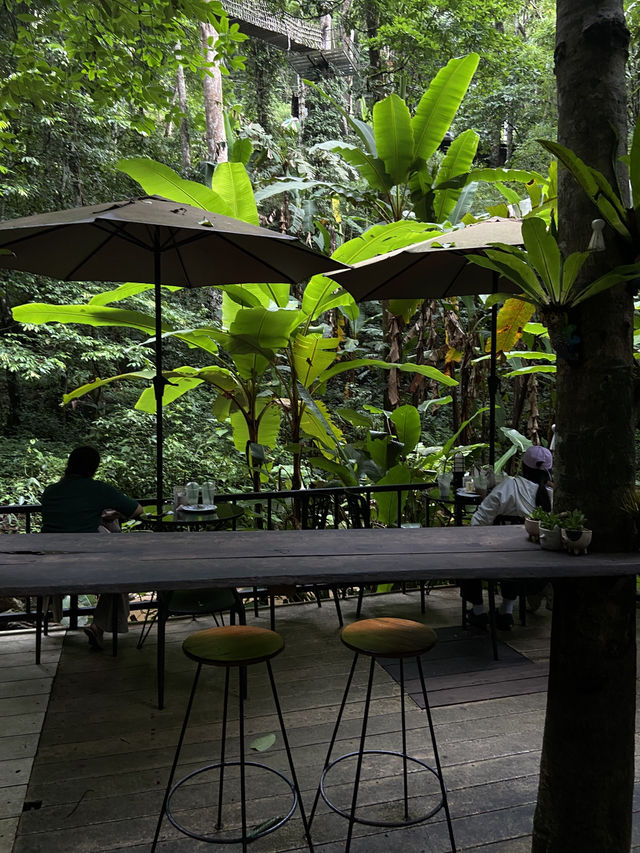 คาเฟ่แม่กำปอง เทดดู้คอฟฟี่