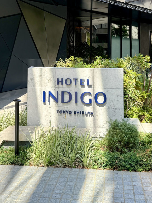 New Chill Spot in Shibuya – Gallery 11 at Hotel Indigo🏙️