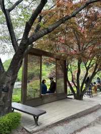可能係全韓國最靚嘅花園！晨靜樹木園：四季都美到不像話💐💫