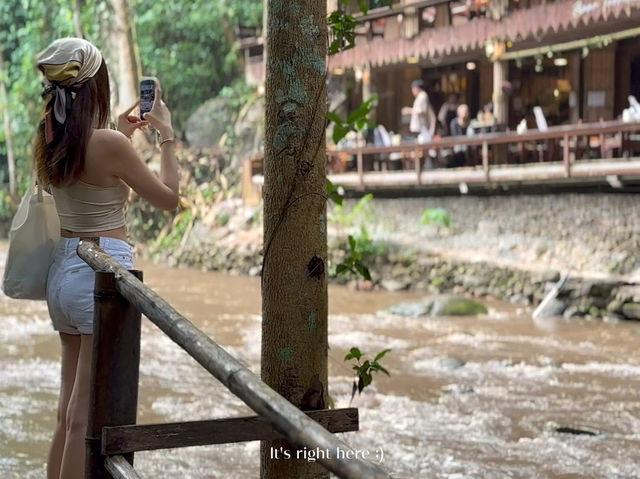 🌿 ธารชีวี แม่แมะ – หลงรักธรรมชาติในทุกลมหายใจ 🍃