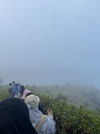 กิ่วแม่ปาน วิวสวยคุ้มค่าเหนื่อยแน่นอน⛰️🌳