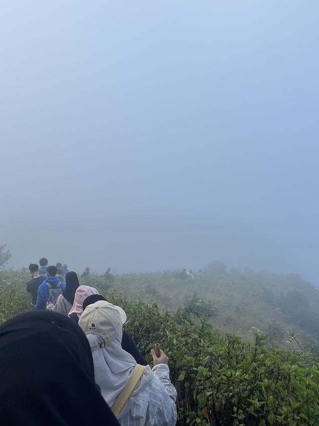 กิ่วแม่ปาน วิวสวยคุ้มค่าเหนื่อยแน่นอน⛰️🌳