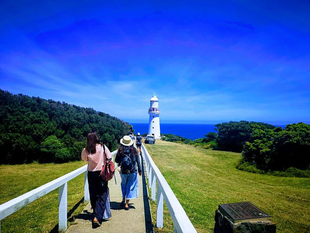 🌊 Explore the Iconic Great Ocean Road 