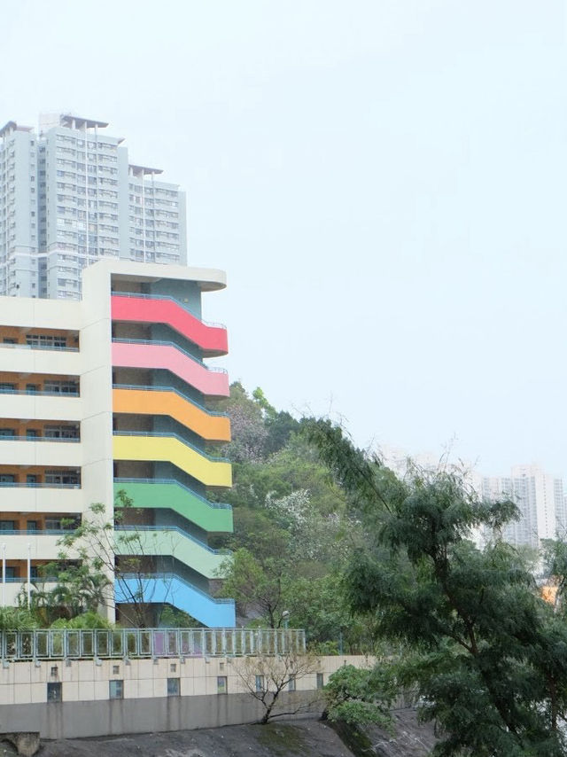 ถ่ายคู่ตึกสวยบันไดสีรุ้งที่โรงเรียนประถม ฮ่องกง