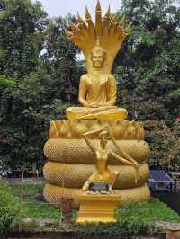 วัดป่าภูทับเบิก 