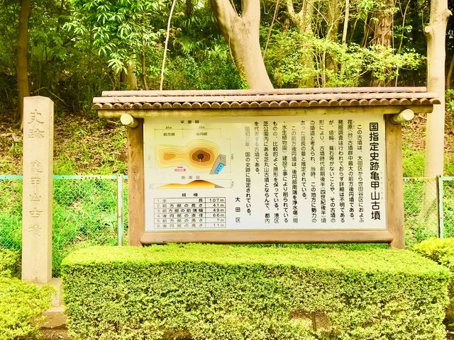 【田園調布から多摩川へ行き紫陽花、多摩川台古墳群、亀甲山古墳、多摩川浅間神社】