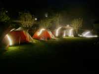 「在休閒農場裡露一宿，與自然共眠的綠色假期」 🌿🌌⛺️