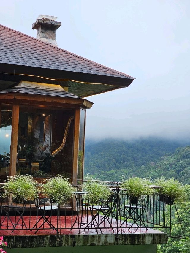 First Valley Coffee Estate | Chiangmai 
