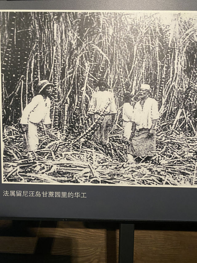 金門廈門五日遊 小三通渡船入境體驗
